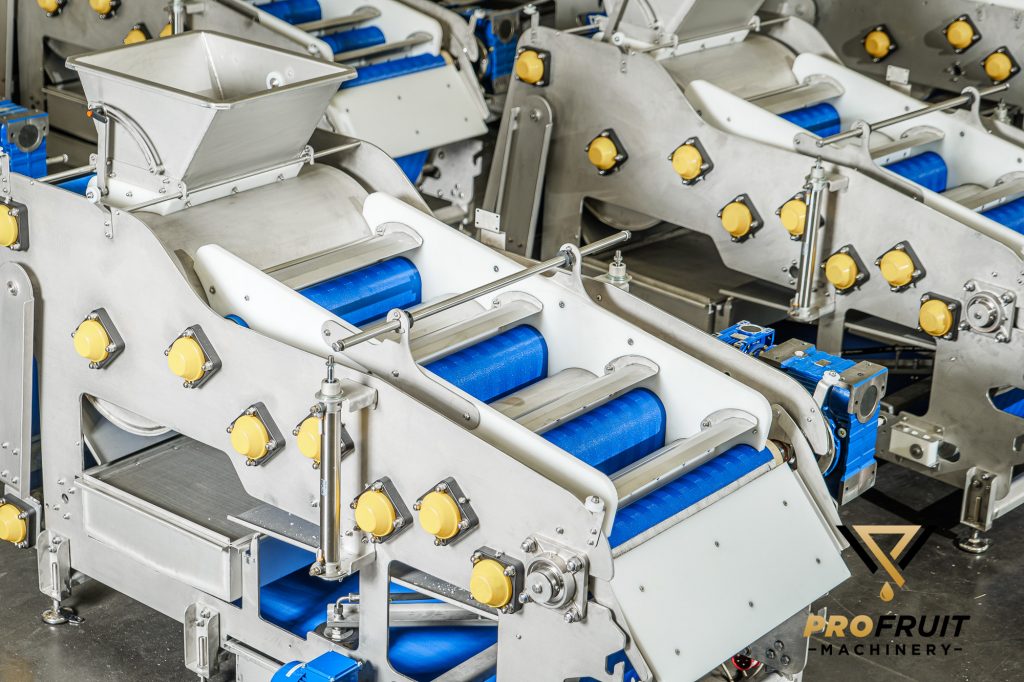 Fruit processing and juice production machinery
